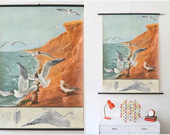Ocean poster, seaside print, seagull pull down chart, educational chart, Jung Koch Quentell, Rustic decor