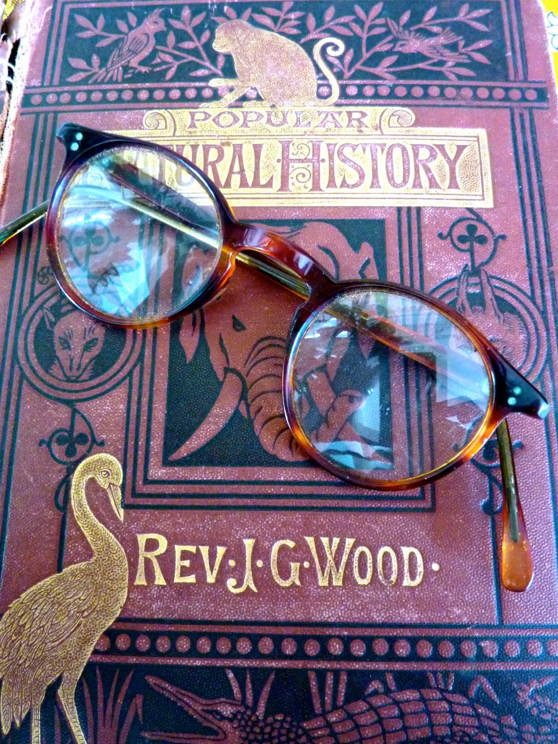 Vintage Oxford Style Eye Glasses, Tortoise Shell Vintage Glasses