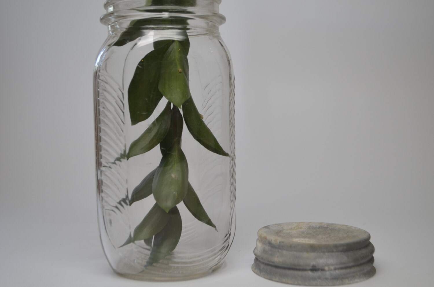 Vintage Art Deco Douglas Glass Canning Jar Haute Juice