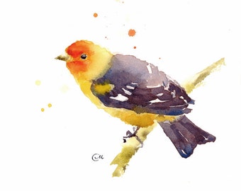 Western Tanager Original Acrylic Bird Painting