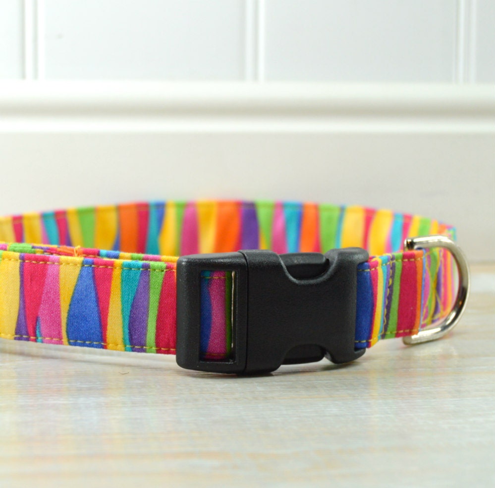 Rainbow Dog Collar Bright and Colorful Dog Collar Adjustable