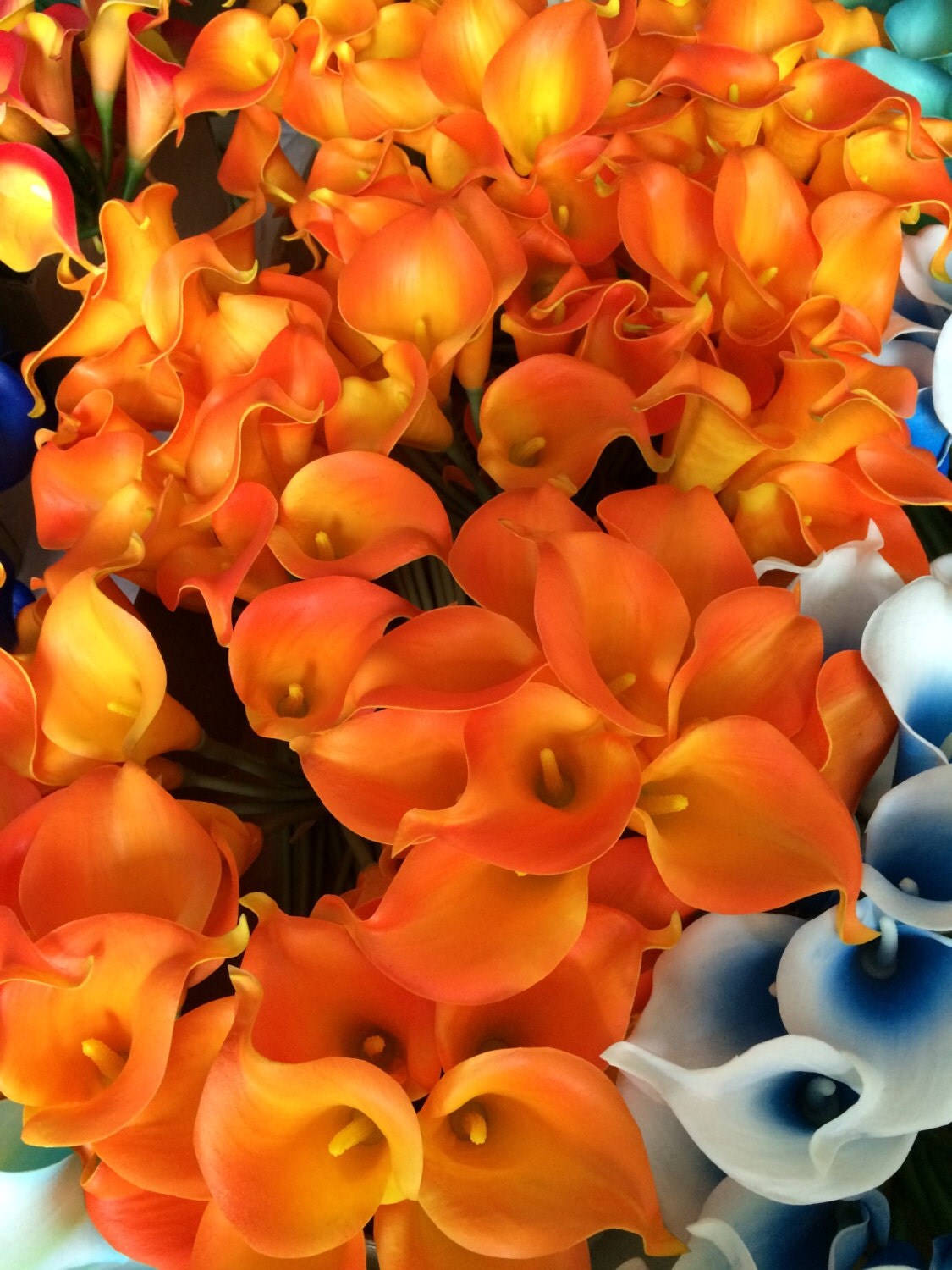 Wholesale Calla Lilies Orange Real Touch Calla Lily Bouquet