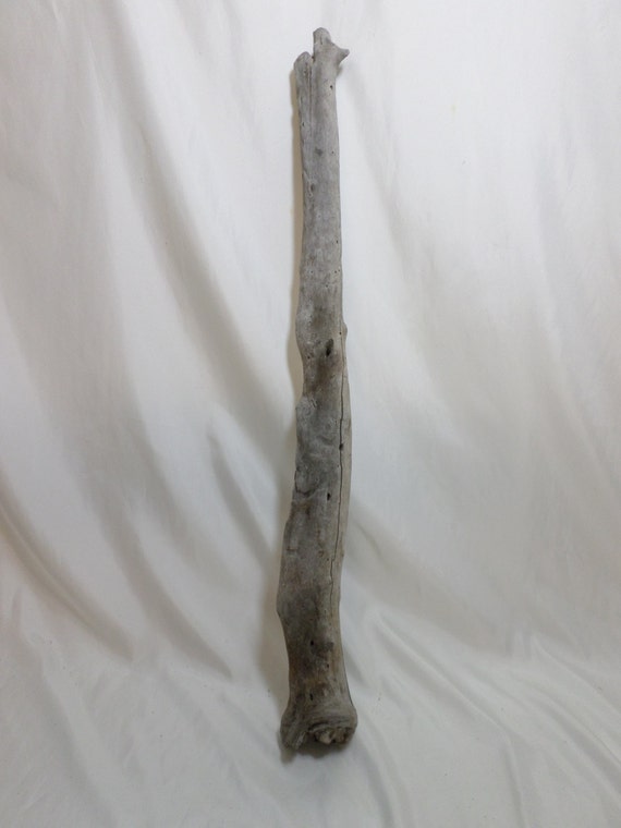 Large Driftwood Beautiful Decorative Driftwood Piece with