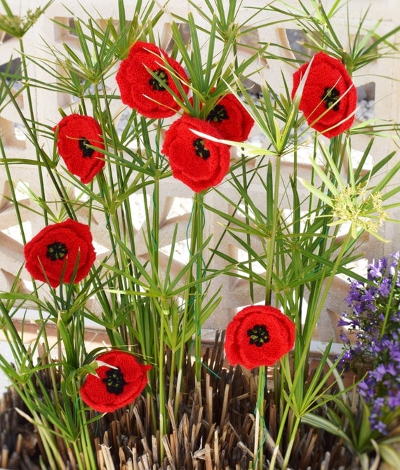 Knitted poppies, knitting pattern for poppies, knitted flowers, floral displa...