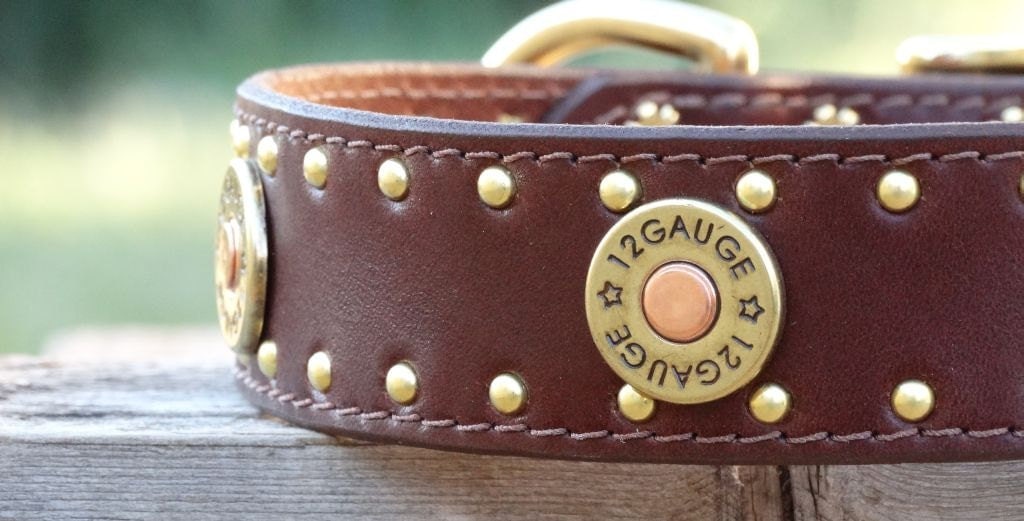 12 gauge shotgun shell leather dog collar
