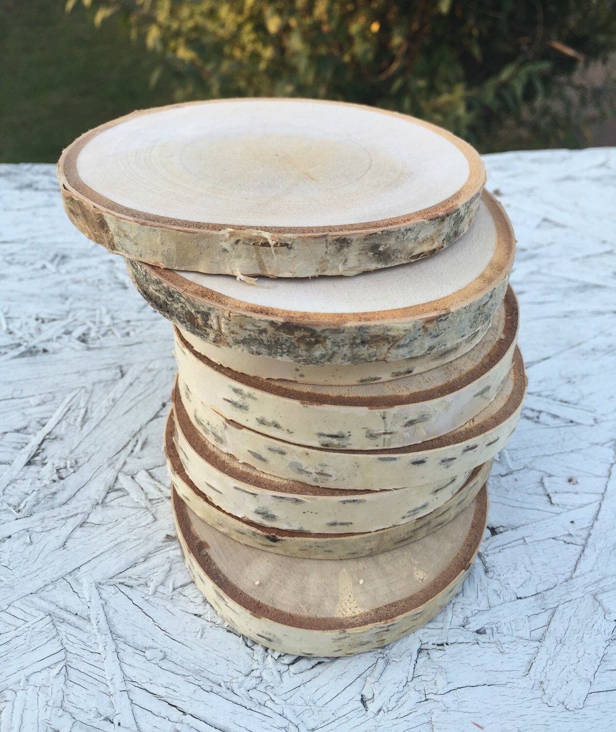 10 Log birch 23in Wood coasters disks center piece diy