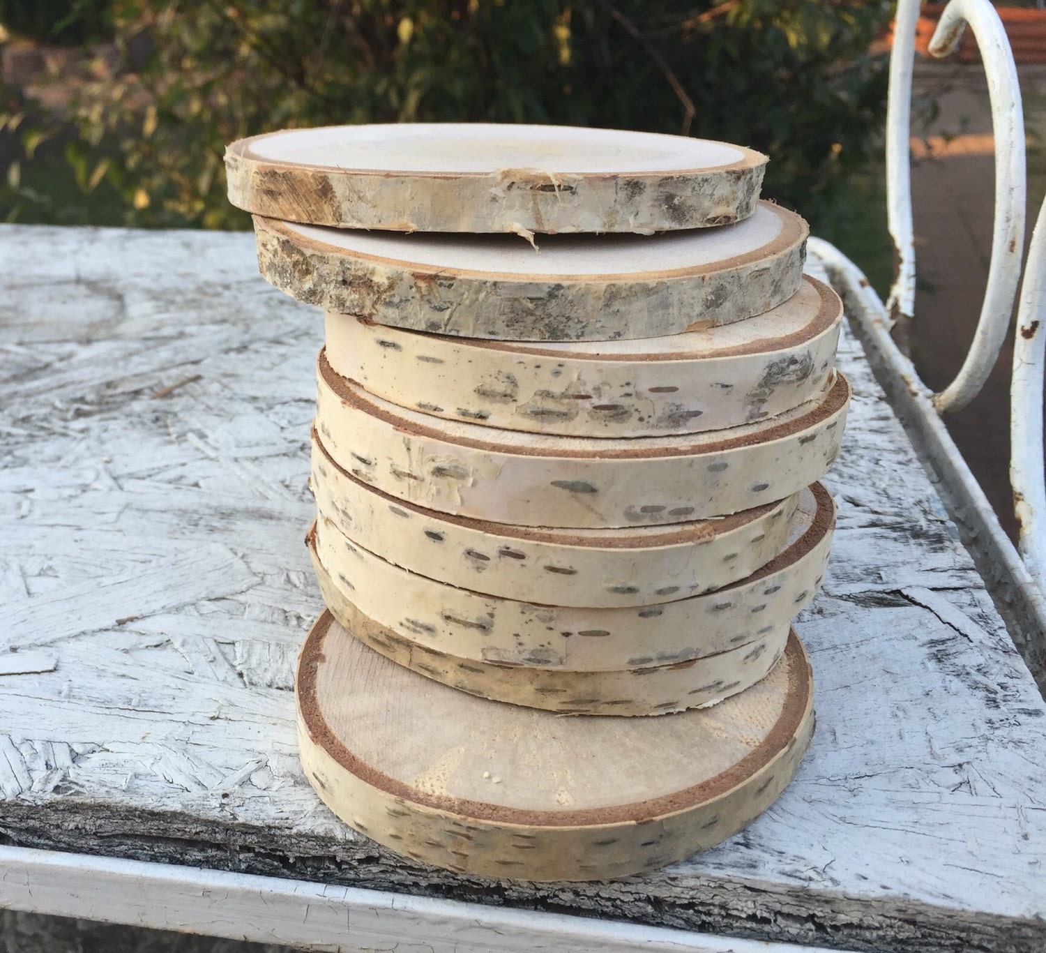 10 Log birch 23in Wood coasters disks center piece diy