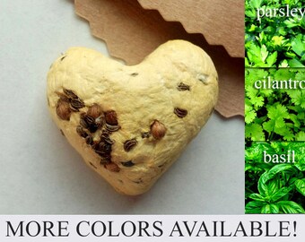 100 XL Herb Seed Bombs