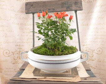 Vase lunch Ohme, vintage, ceramics vase, brocante, antiques container, pot ohme