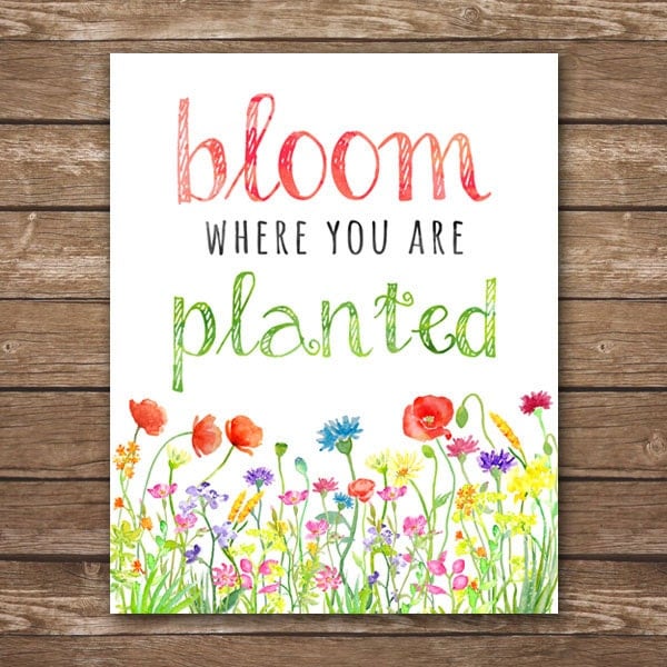 INSTANT DOWNLOAD Printable Bloom Where You Are Planted