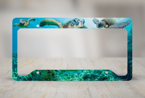 Sea Turtle License Plate Frame Beach Car Tag Frame by Airstrikeinc