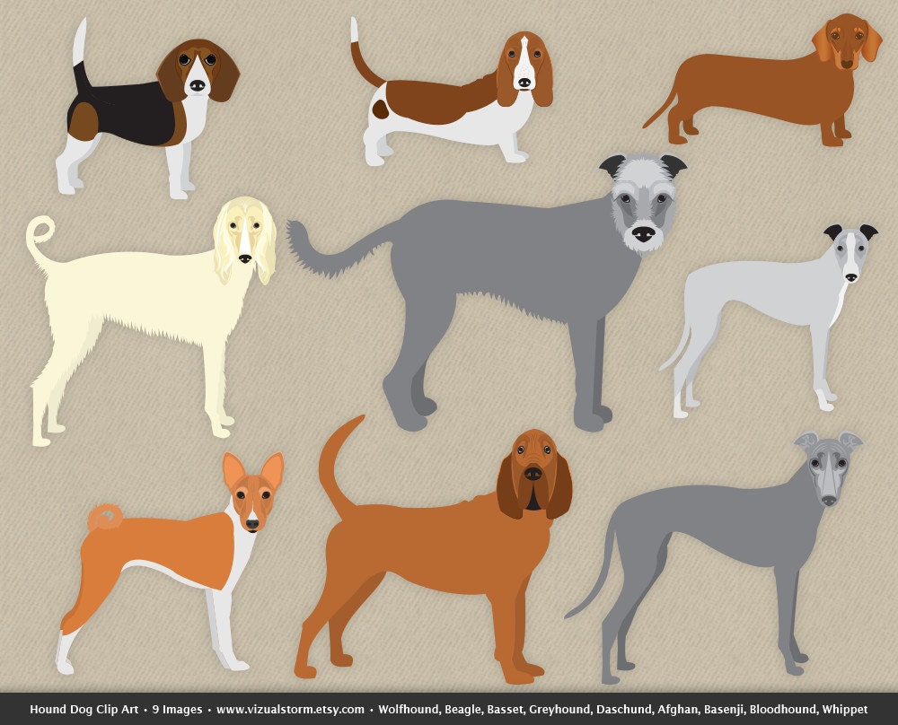 Hound Dog Clip Art digital hounds clipart by VizualStorm on Etsy