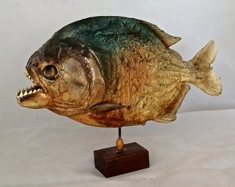 Items similar to Piranha print artwork fish home decor on Etsy