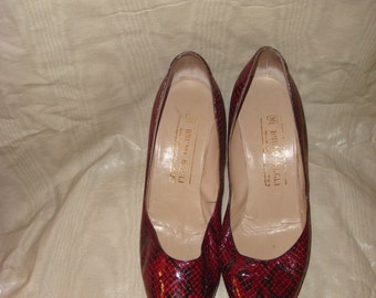 Final Clearance Burgundy Snakeskin Bruno Magli Pumps 6.5AA