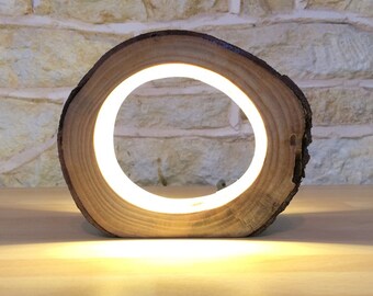 Small LED Log Light Table Lamp Desk Light Real Wooden Log Hollow Unusual Bedside Office Natural Repurposed Upcycled Wood
