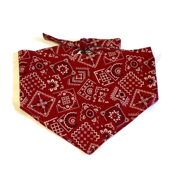 Cowgirl/cowboy Tie Bandana