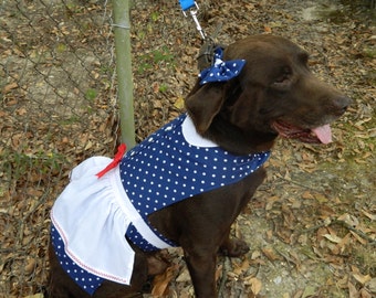 I Love Lucy Dog dress, Lucy dog dress costume, Blue polka dot dress with gathered skirt and attached apron