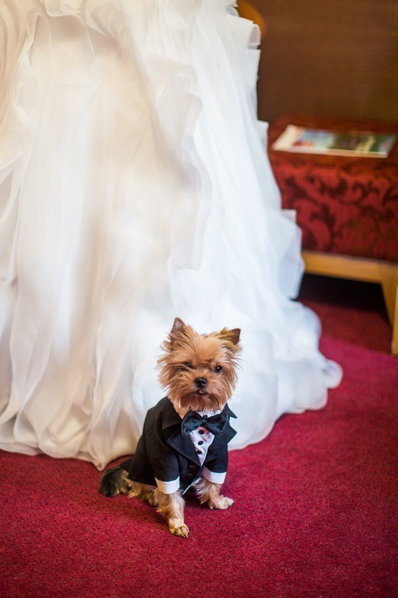 Dog wedding attire Formal suit for dog with bow tie Special