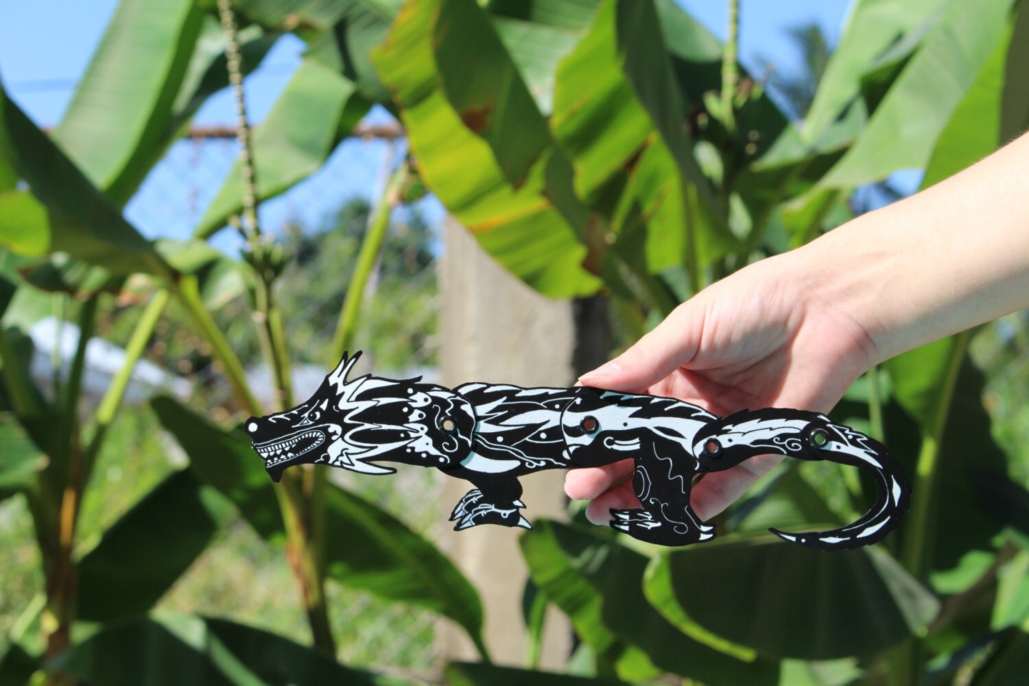 Dragon wings plant picture