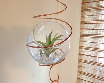Hanging terrarium for air plant tillandsia 5 link decorative chain with terrarium hanging planter