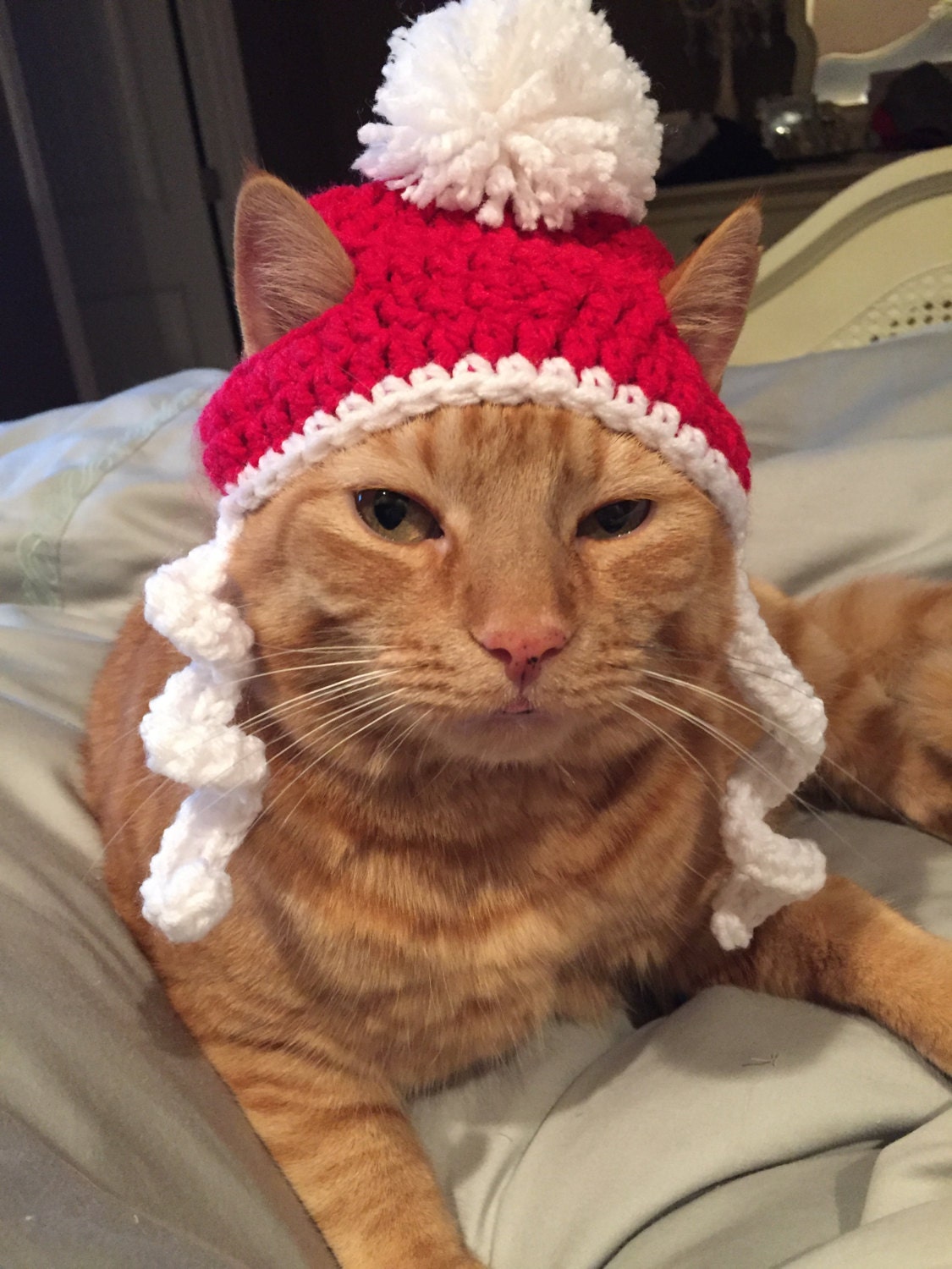 Crochet Christmas Santa Beanie Hat For Cat or by sewbeautiful2