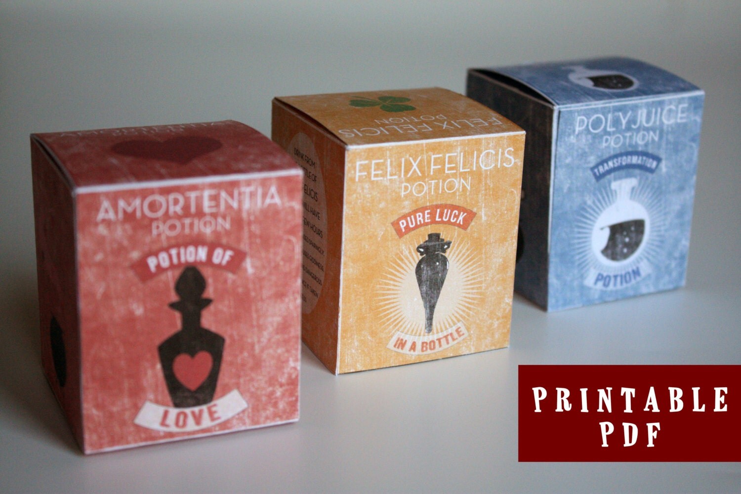 Harry Potter 3 Potion Square boxes Printable PDF DIY