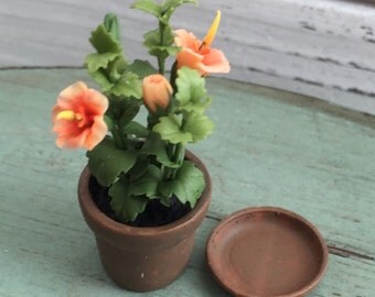 Miniature Hibiscus Plant in Terracotta Flower Pot, Dollhouse Miniature, 1:12 Scale, Shades of Orange Hibiscus Flower, Mini Plant