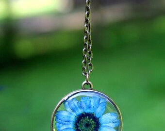 Blue Daisy Necklace, Real Flower Necklace, Blue Chrysanthemum, Botanical Jewelry, Pressed Flower Jewelry, Flor Pendant