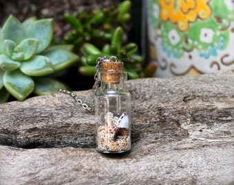Seashell Vial Necklace made in Hawaii - Shell Jewelry from Hawaii - Hawaiian Jewelry - Seashell Necklace - Shell Necklace by Mermaid Tears