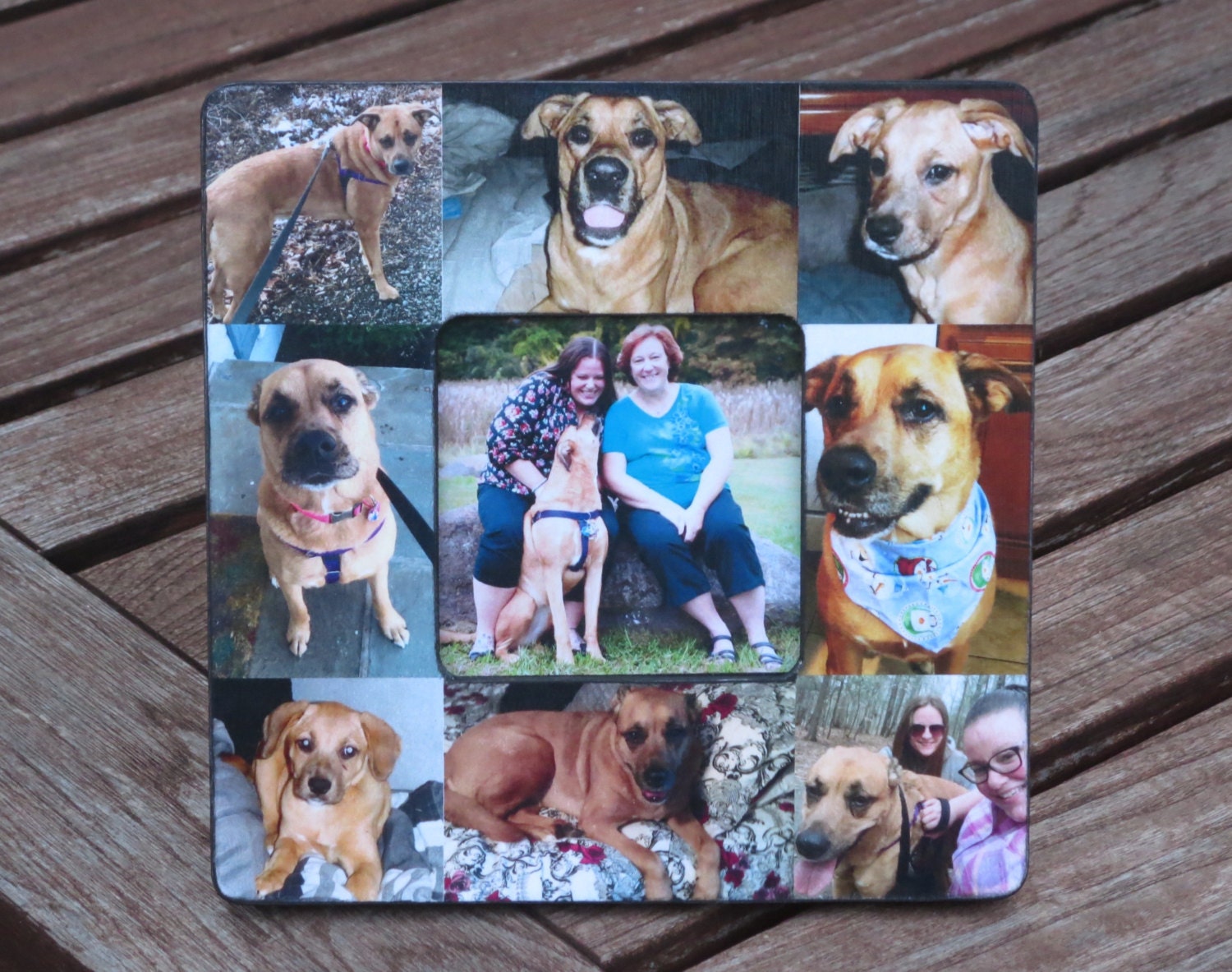 Pet Collage Picture Frame Personalized Pet Memorial Picture