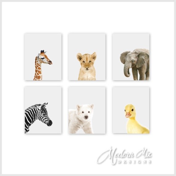 Baby Animal Prints Animal Nursery Art Prints Zoo Animals