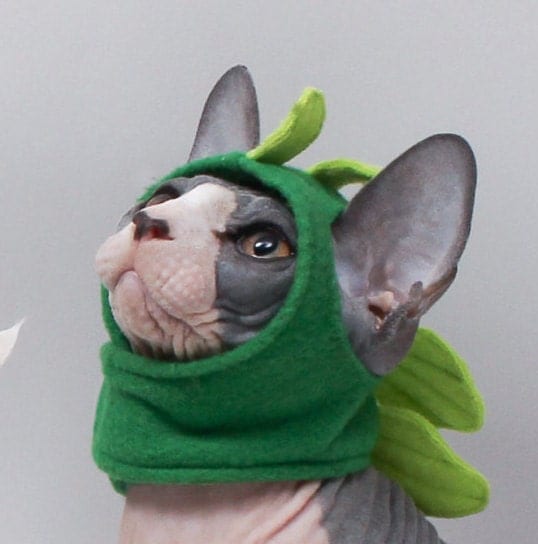 Pet Costume Godzilla Dinosaur Halloween Cat Clothes. Pet Hat