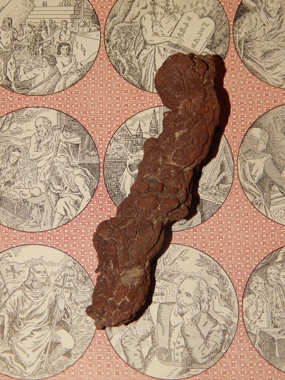 fossilized animal dung