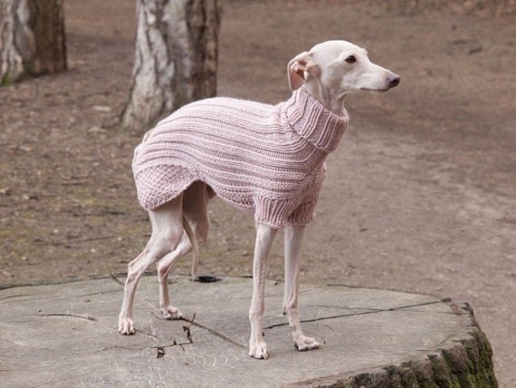 Italian Greyhound Sweater with Sleeves / great by SleepAndHound