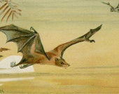 1894 Errie Antique Bat Print - Halloween Wall Art  - Matted 11x14" - Spooky, Creepy Halloween Decor - Gift