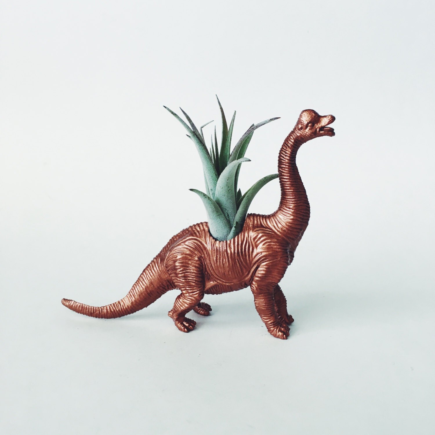 brachiosaurus plant eater