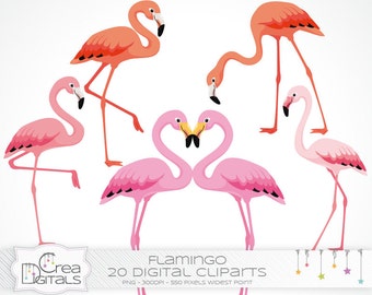 Pink flamingo clipart - 20 digital cliparts - INSTANT DOWNLOAD