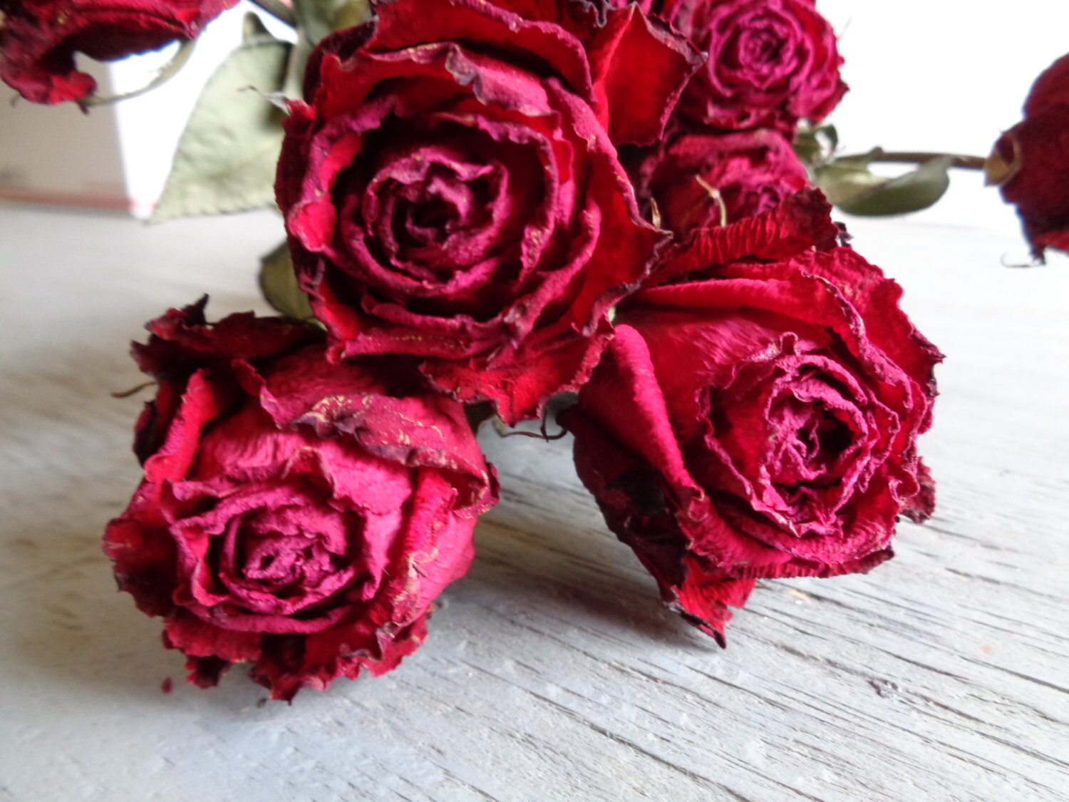 Dried Red Roses 9 stems