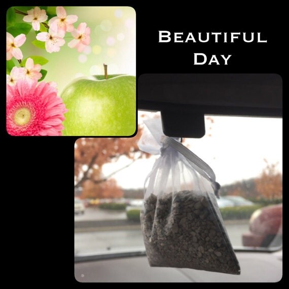 BEAUTIFUL DAY Auto / Car Hanging Air Freshener 1 by