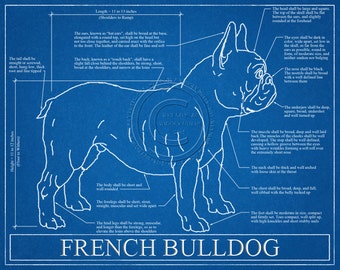French Bulldog Blueprint Elevation / French Bulldog Art / French Bulldog Wall Art / French Bulldog Gift / French Bulldog Print