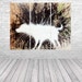 BANKSY Canvas Wall Art Print Wet Dog by by ArthouseReady2Hang