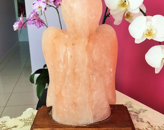 Himalayan Salt Lamp w/ Reiki / Healing Stones and Crystals