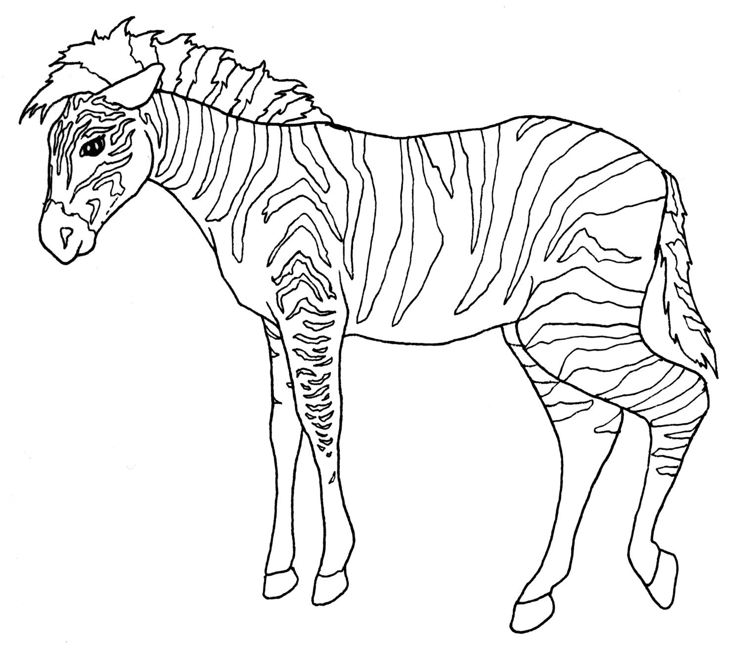 Download DIGITAL DOWNLOAD Zoo Animal Adult Coloring Book Pages Wild