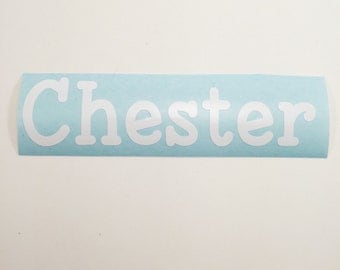 Name Decal - Vinyl Name Decal - Name Sticker -Vinyl Name - Vinyl Dog Bowl Name Decal - Car Decal - Name Gift - Personalized Dog Name Sticker