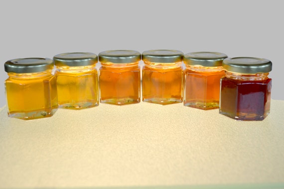 A Pure Raw Honey Gift Samplers of by BlackBonnetAmishFarm on Etsy
