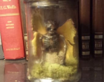 Fairy Specimen in Jar