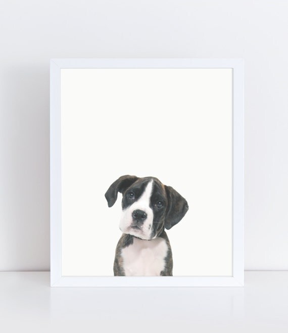 Boxer Dog Puppy Printable Wall Art Puppy Poster by lushaprints
