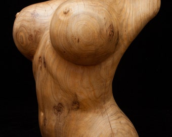 Nude Female Form 37