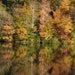 inthewoods29