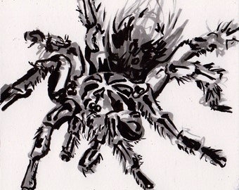 Tarantula Drawing - Ink Painting of a Spider - Black Tarantula Art - Original Inktober Art by Jen Tracy